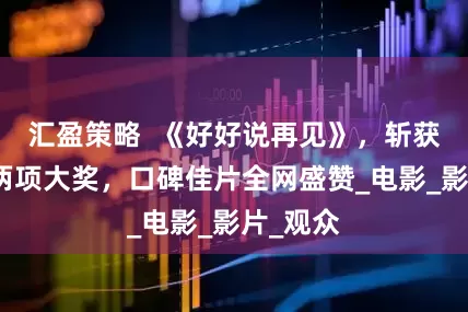 汇盈策略  《好好说再见》，斩获凤凰奖两项大奖，口碑佳片全网盛赞_电影_影片_观众
