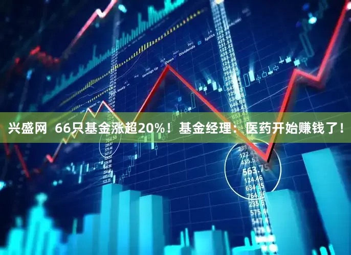 兴盛网  66只基金涨超20%！基金经理：医药开始赚钱了！